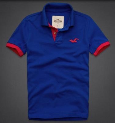 Hollister Men Shirts-398